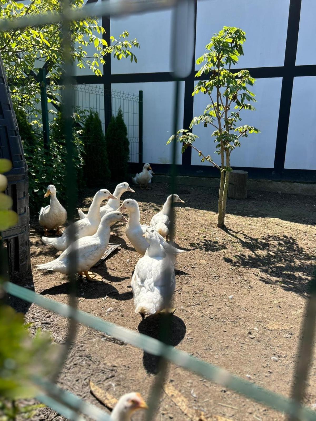 Pokoje Goscinne Nad Morzem Bobolin Kültér fotó