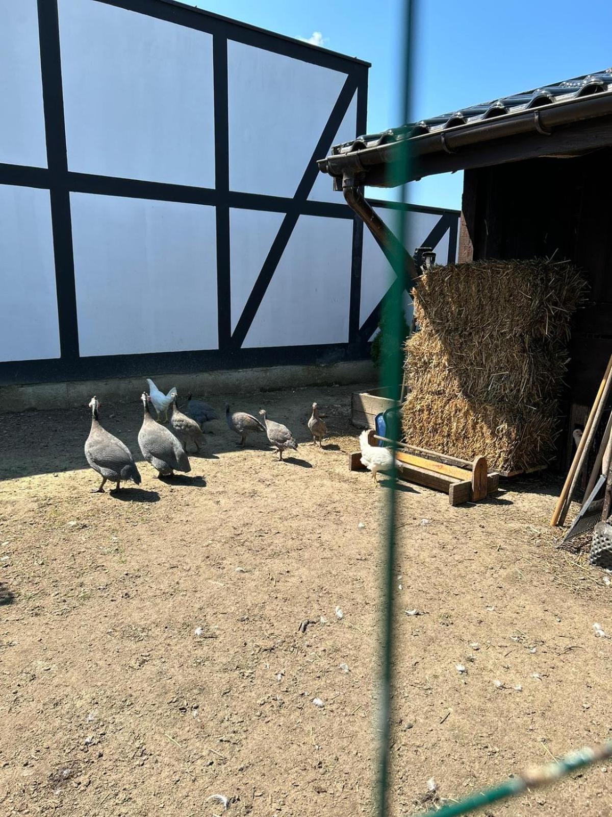 Pokoje Goscinne Nad Morzem Bobolin Kültér fotó
